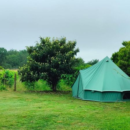 Quinta Da Teimosa Villa Moncao Ngoại thất bức ảnh